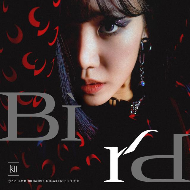Album cover art for Bird