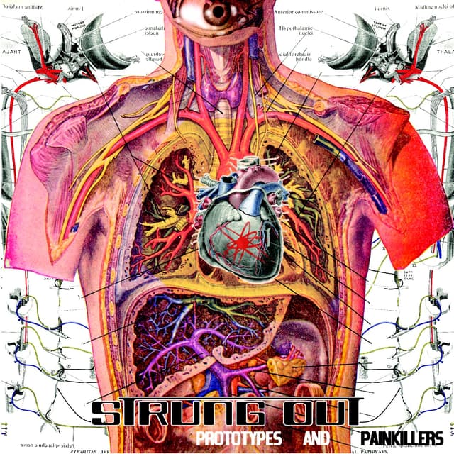 Album cover art for Prototypes And Painkillers