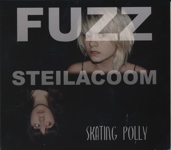 Album cover art for Fuzz Steilacoom