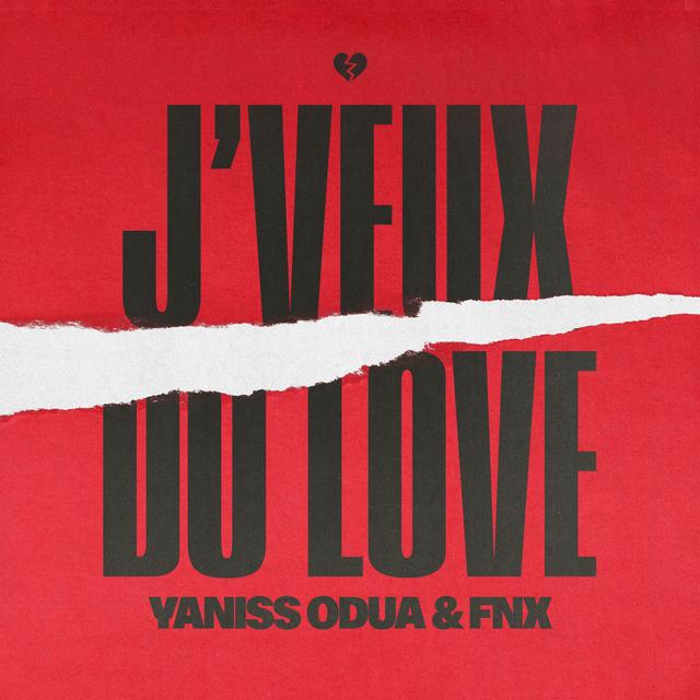 Album cover art for J'veux du Love