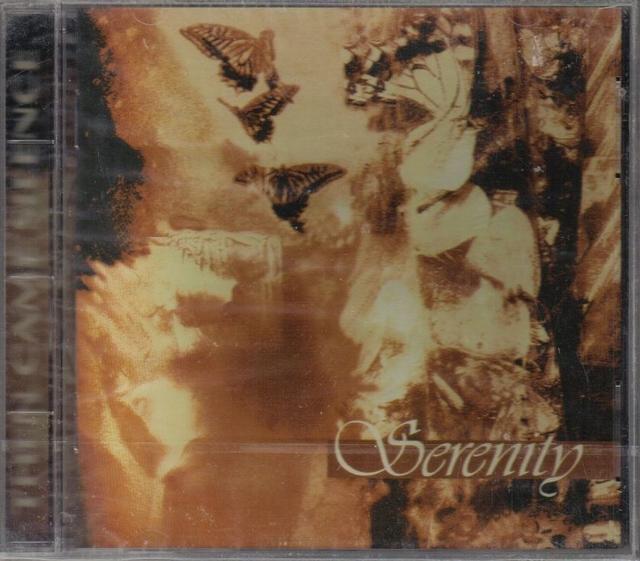 Album cover art for Then Came Silence