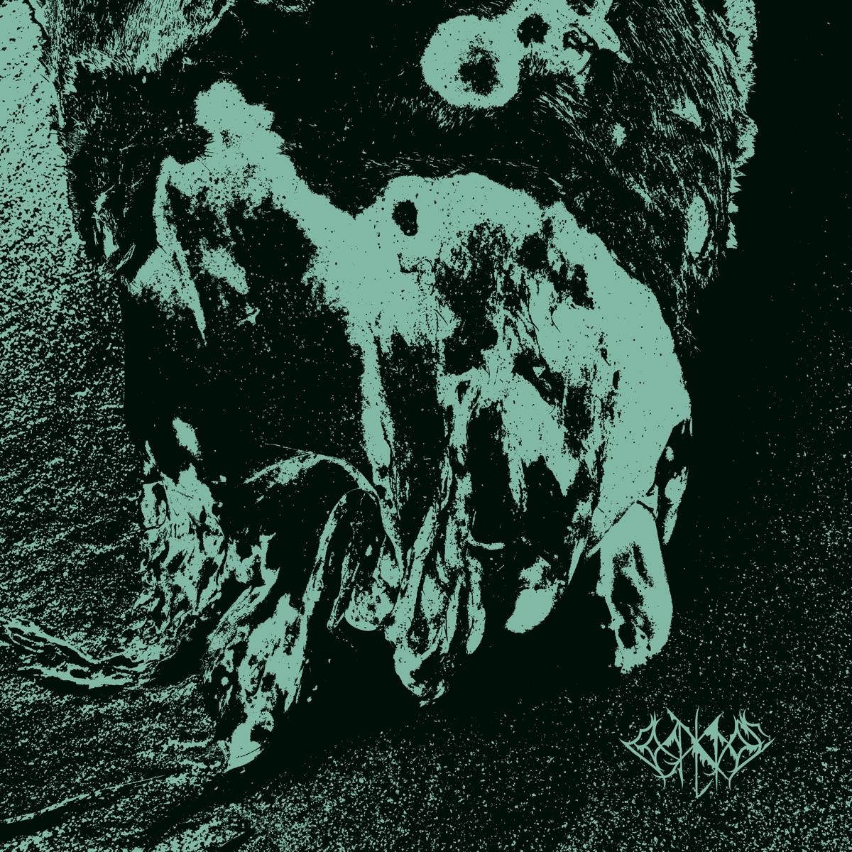 Coral Cross 002