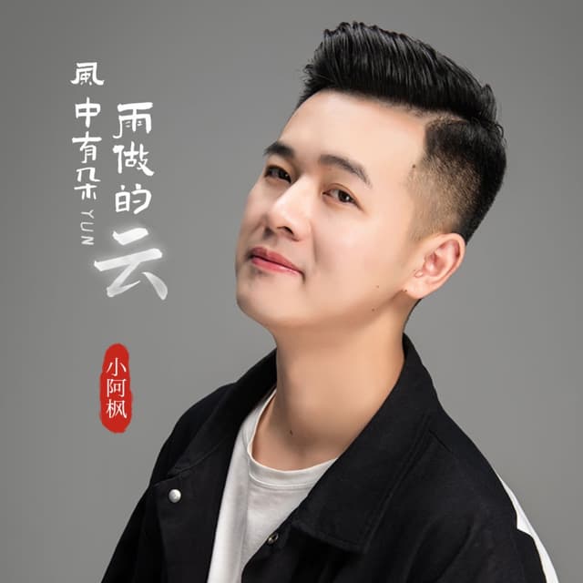 Album cover art for 风中有朵雨做的云