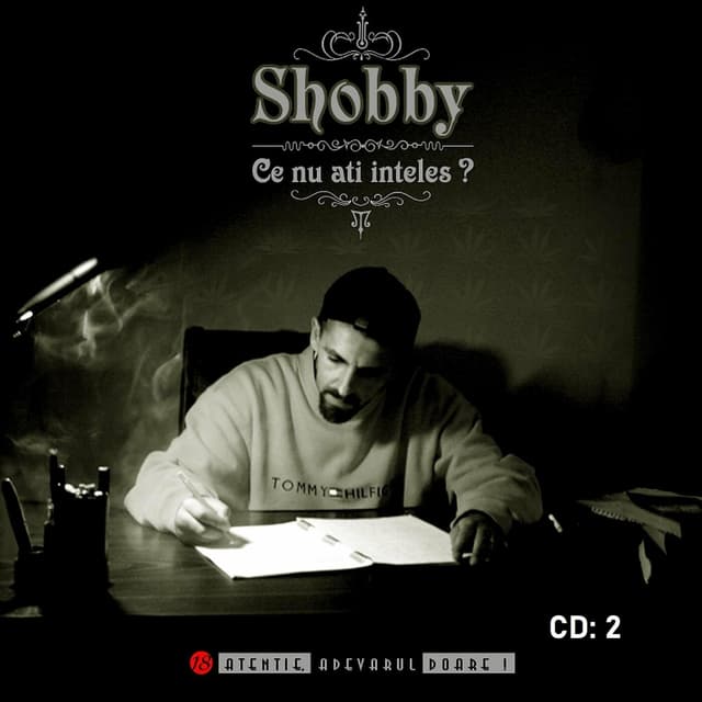 Album cover art for Ce Nu Ați Înțeles?
