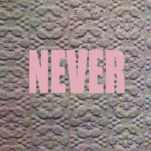 Album cover art for Never