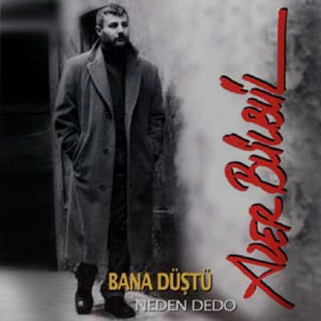 Album cover art for Bana Düştü (Neden Dedo)