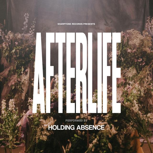 Album cover art for Afterlife