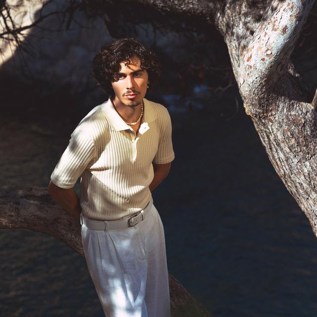 Album cover art for INGRID