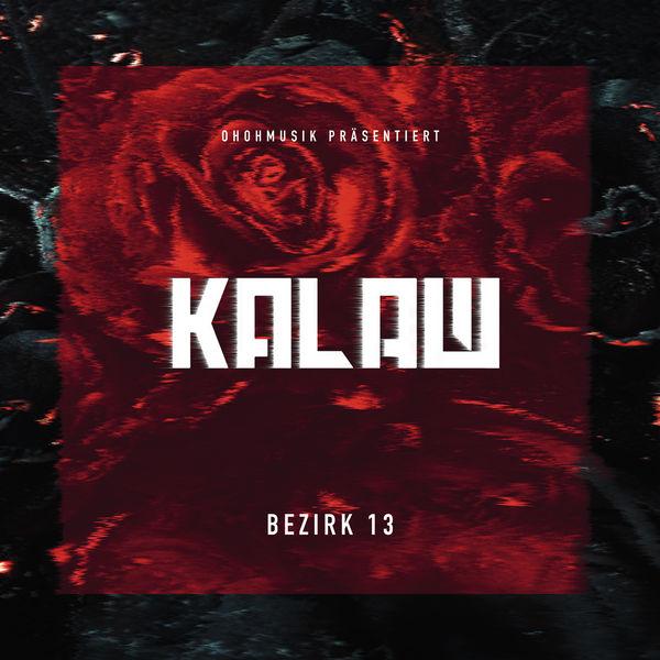 Album cover art for Bezirk 13