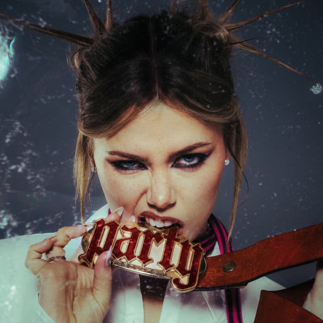 Album cover art for Party Life