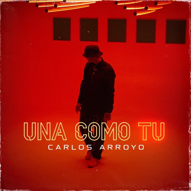 Album cover art for Una como tú