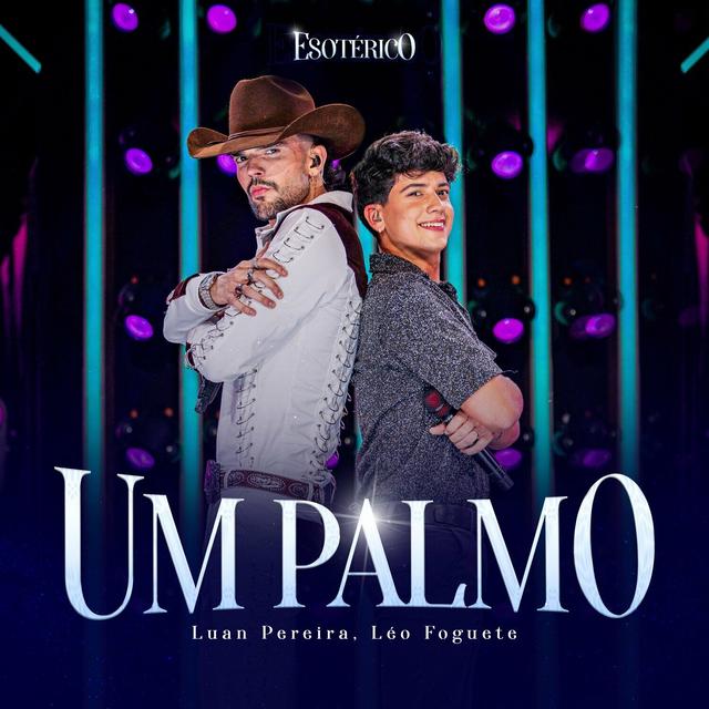 Album cover art for UM PALMO