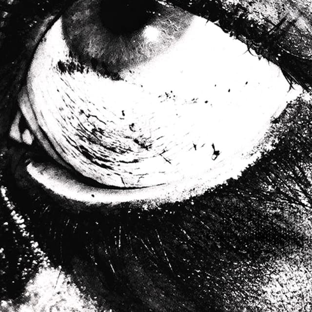 Album cover art for Bound to Misery