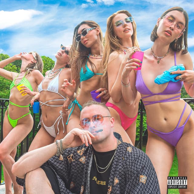Album cover art for LOVE PISTOLS