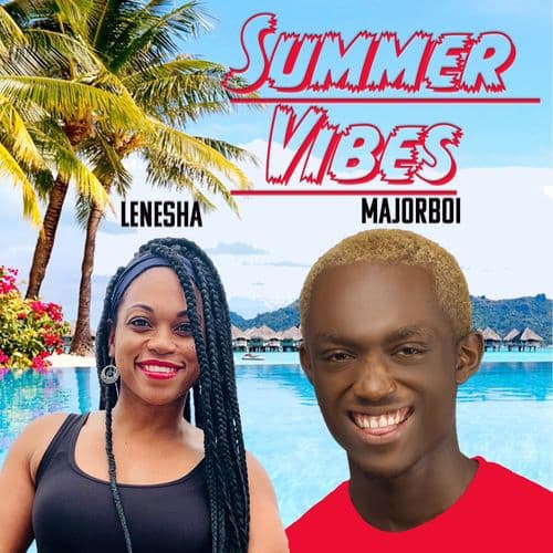 Album cover art for Summer Vibes