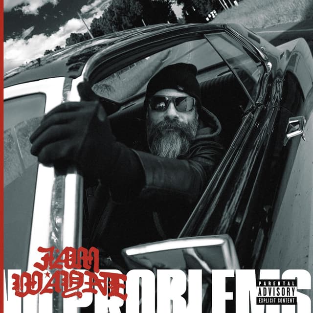 Album cover art for No Problems