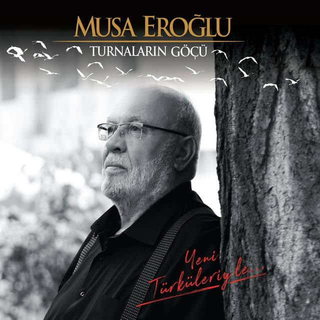 Album cover art for Turnaların Göçü (Yeni Türküleriyle)