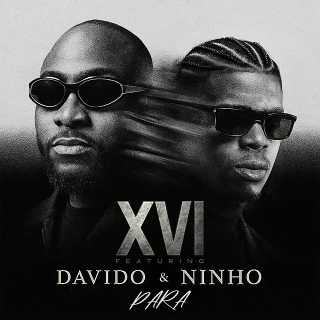 Album cover art for Para