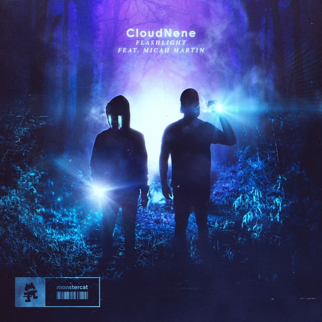 Album cover art for Flashlight