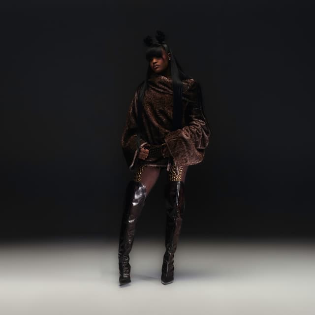 Album cover art for NO BRING INS