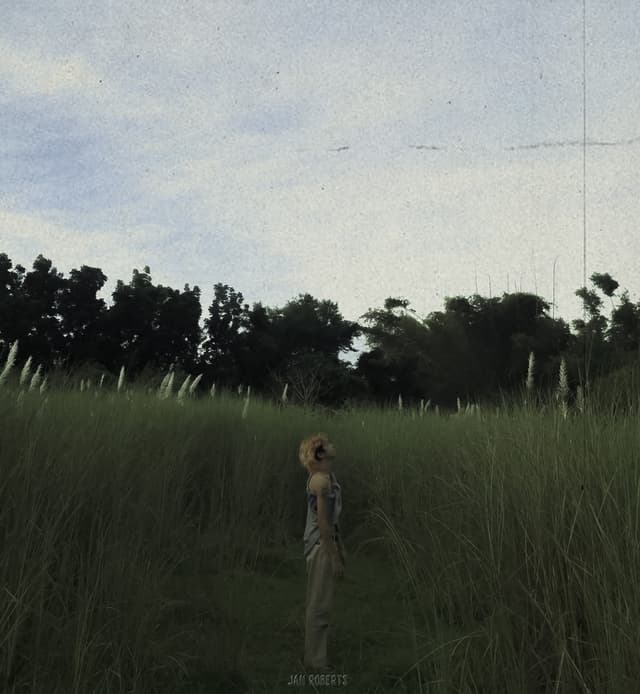 Album cover art for Patlang