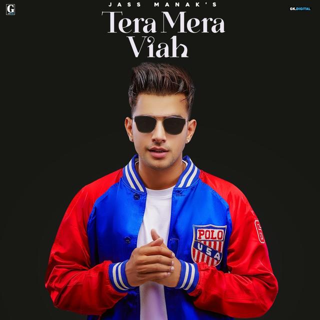 Album cover art for Tera Mera Viah