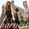 咲かせてはいけない花 (sakase te ha ike nai hana)