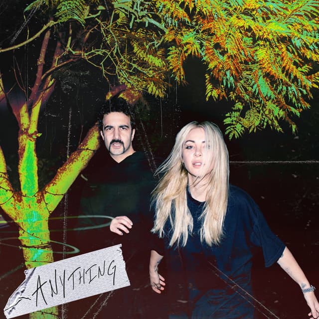 Album cover art for Anything