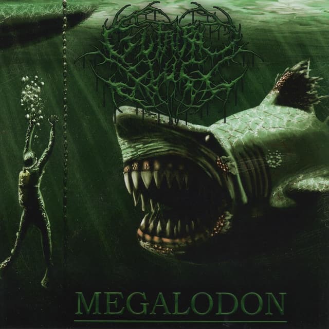 Album cover art for Megalodon