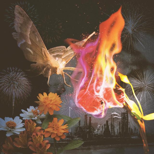 Album cover art for I Love You