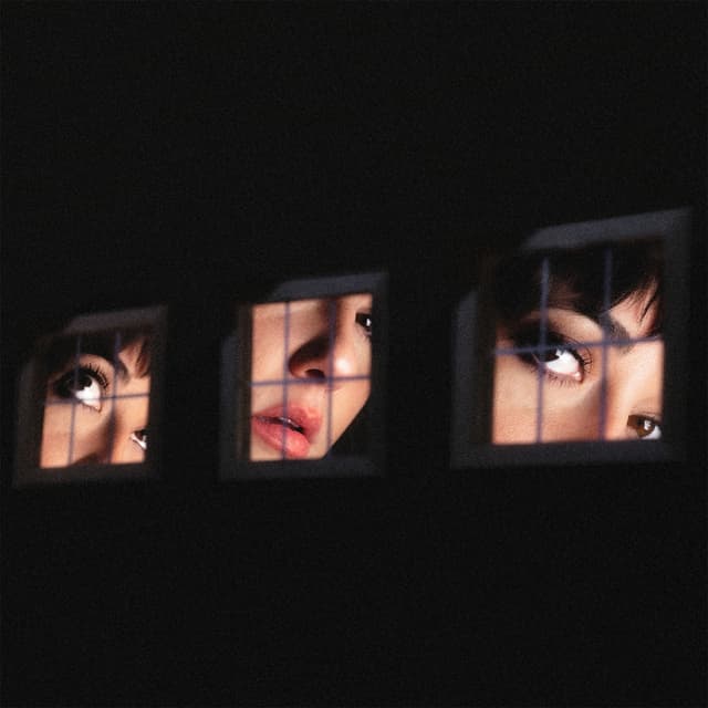 Album cover art for Nos despedimos / Window Shopping
