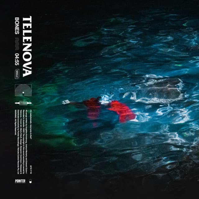 Album cover art for Bones