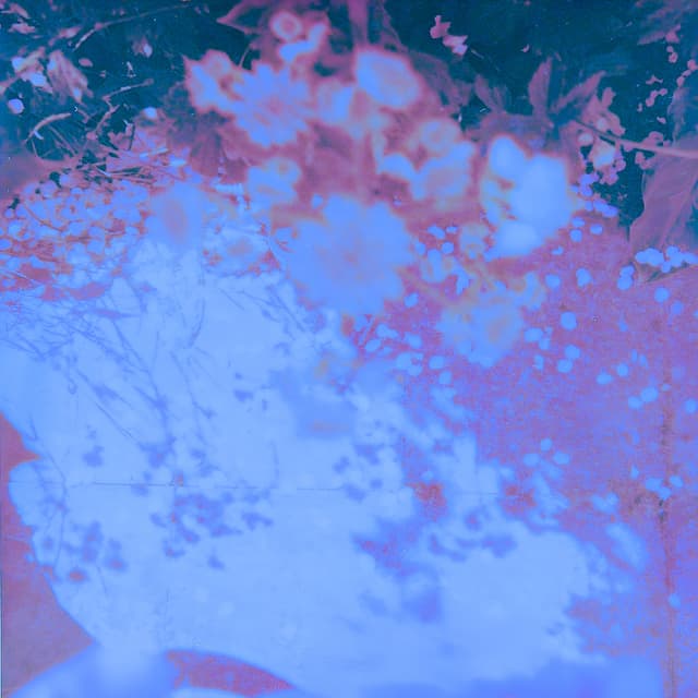 Album cover art for Burst