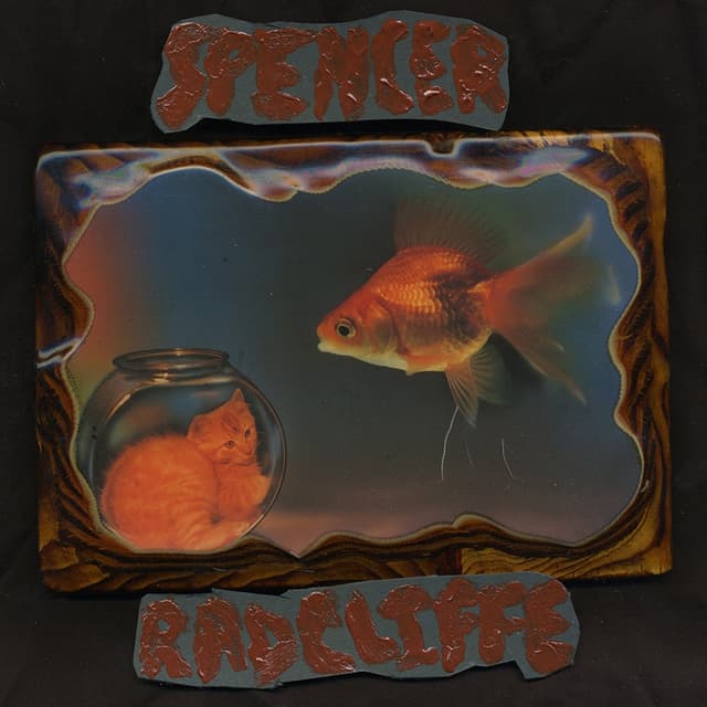 Album cover art for Looking In