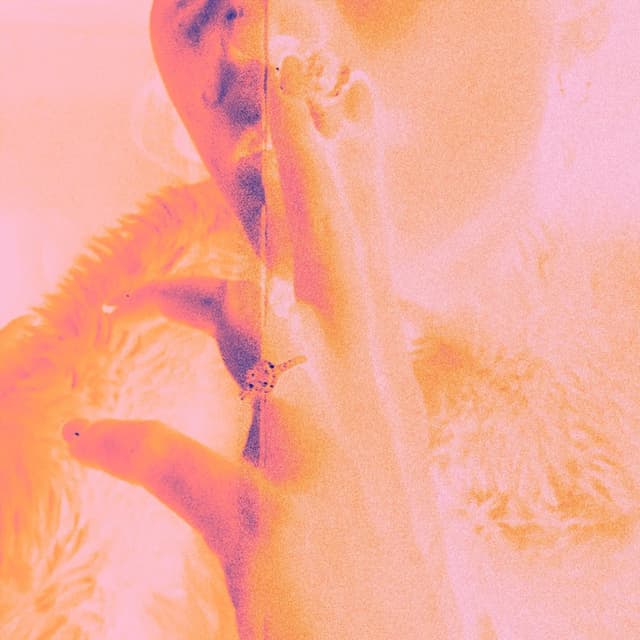 Album cover art for çift c