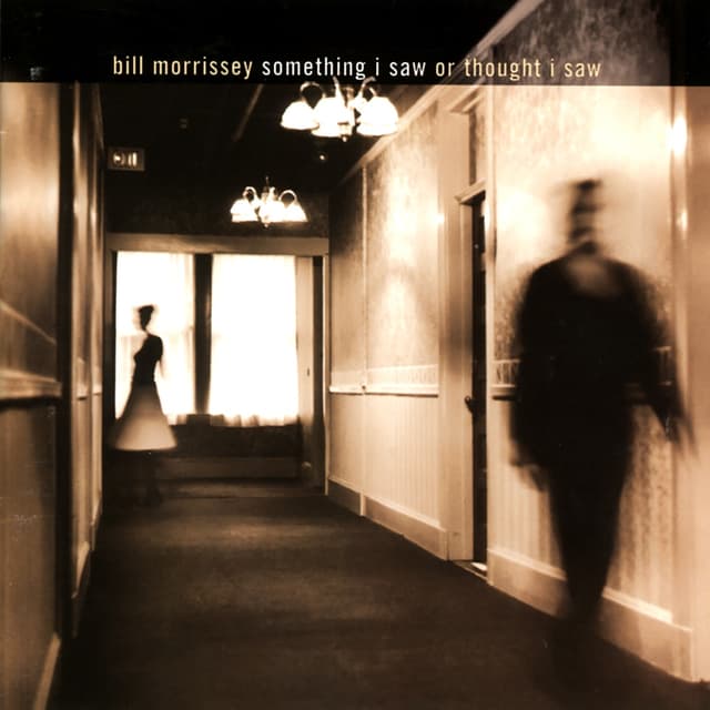 Album cover art for Something I Saw or Thought I Saw