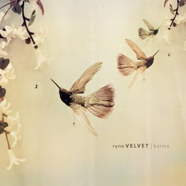Album cover art for Karma