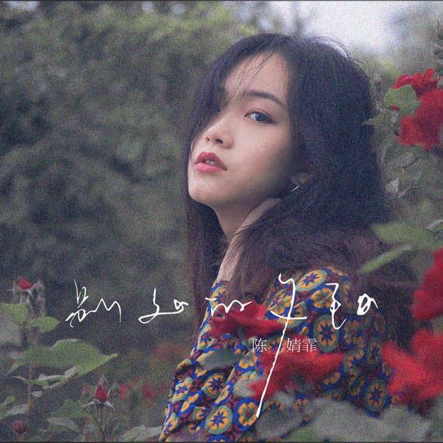 Album cover art for 别处的夕阳