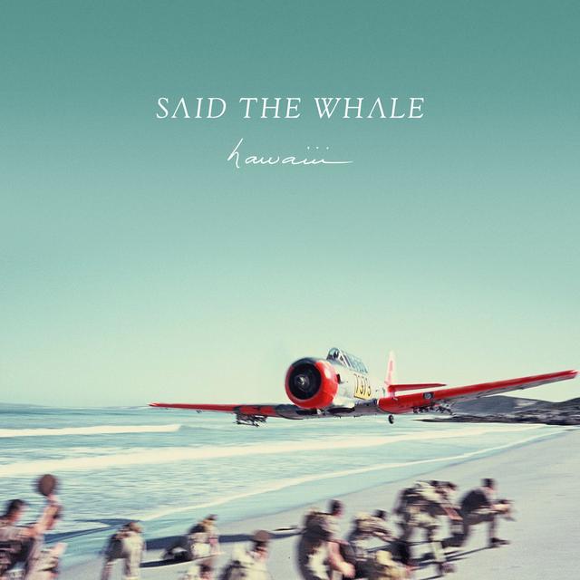 Album cover art for Hawaiii