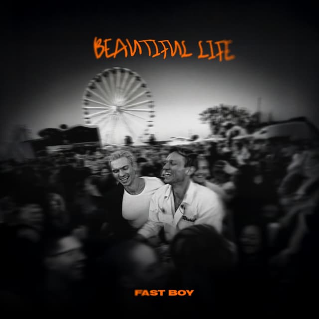 Album cover art for Beautiful Life