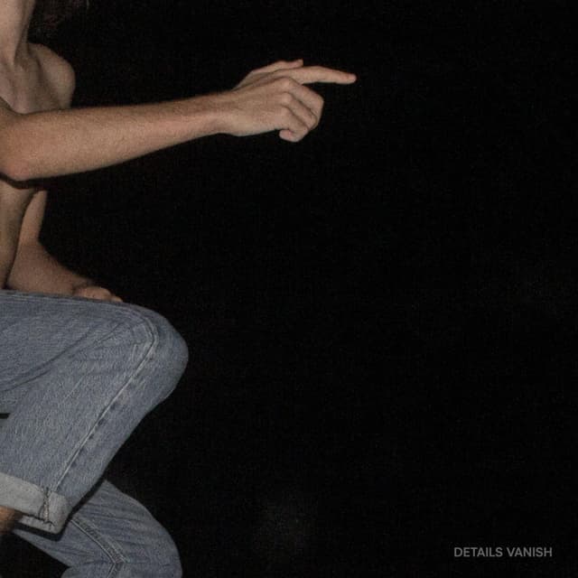 Album cover art for Details Vanish