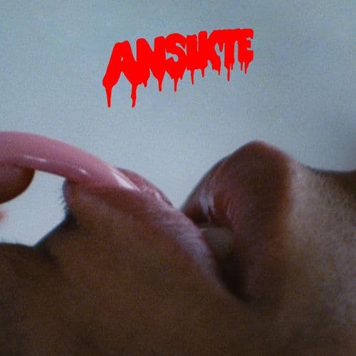 Album cover art for Ansikte
