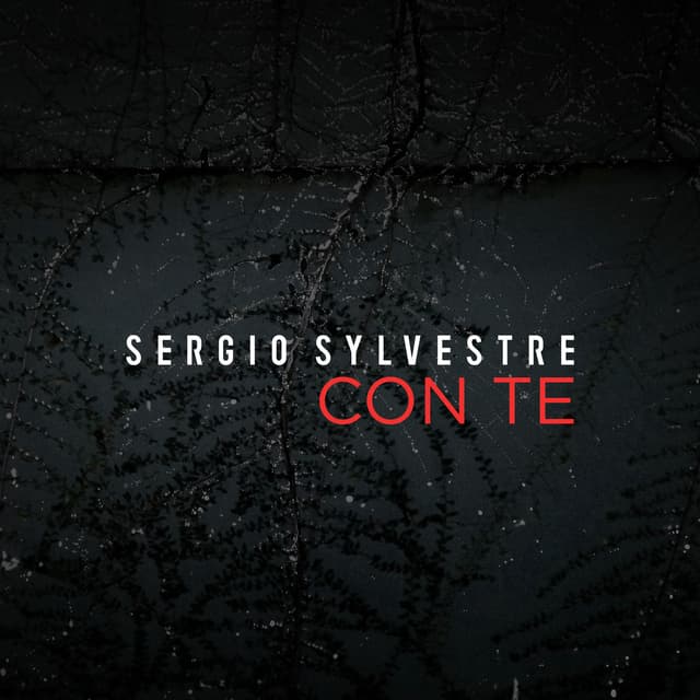 Album cover art for Con te