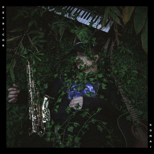 Album cover art for Petricor