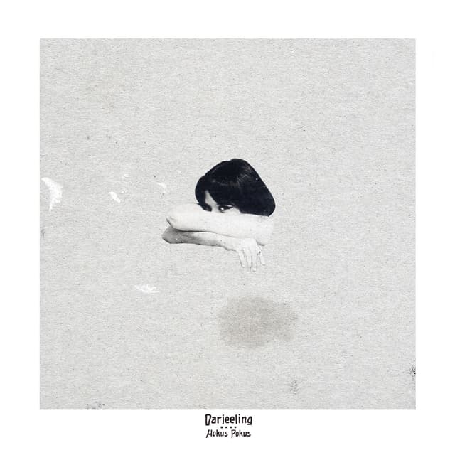 Album cover art for Hokus Pokus