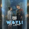 ويلي (Wayli)