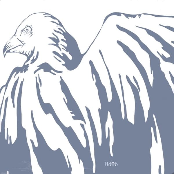 Album cover art for White Birds
