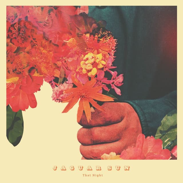 Album cover art for That Night