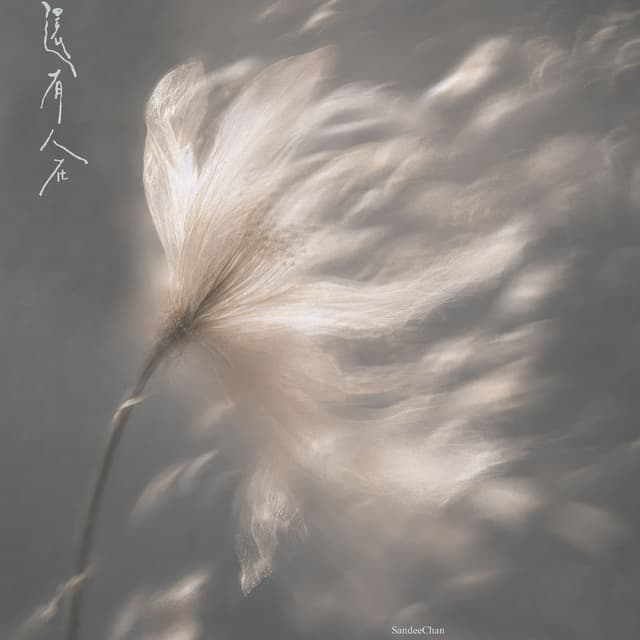 Album cover art for 還有人在