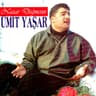 Ateşlerde Yanacağım (Ateslerde Yanacagim)